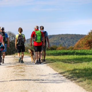 Eine familie wandert im sommer auf der Schwäbischen Alb. Diese Tipps hat der Schwäbische Albverein für Touren bei Hitze.