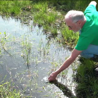 Jan-Stefan Hettler von der Arbeitsgemeinschaft Donaumoos