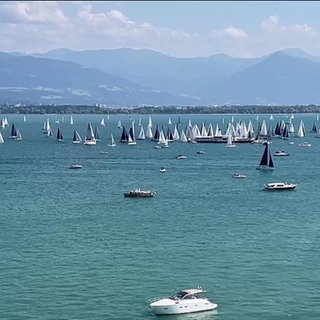 Eine große Anzahl von Segelbooten auf dem Bodensee