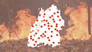 Eine Karte von Baden-Württemberg zeigt, wie hoch die Waldbrandgefahr aktuell an den Messstationen des Deutschen Wetterdienstes ist.