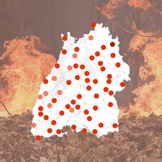 Eine Karte von Baden-Württemberg zeigt, wie hoch die Waldbrandgefahr aktuell an den Messstationen des Deutschen Wetterdienstes ist.