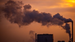 Rauch steigt aus Schornsteinen von Industriebtetrieben. (Symbolbild)