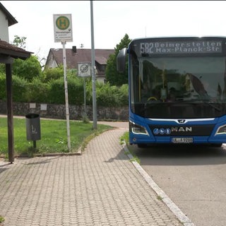 Schulbus