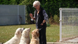 Das EU-Parlament in Strasburg hat eine Chippflicht für Hunde und Katzen beschlossen. So soll illegalen Züchtern das Leben erschwert werden.