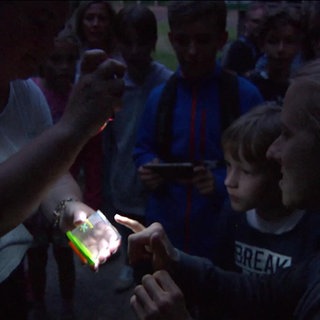 Eine Gruppe Menschen begibt sich auf die Suche nach Glühwürmchen.