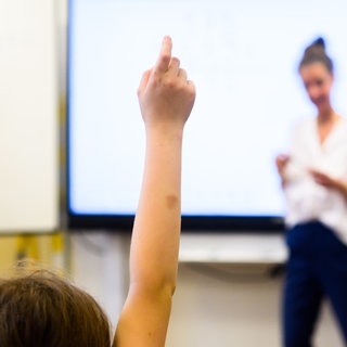 Ein Schüler meldet sich per Handzeichen in einem Klassenraum. (Symbolbild)