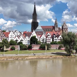 Uferlandschaft in Ulm
