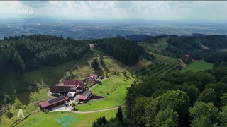 In Oberkirch haben die Bürgerinnen und Bürger gegen zwei Windräder auf der Schwend gestimmt.