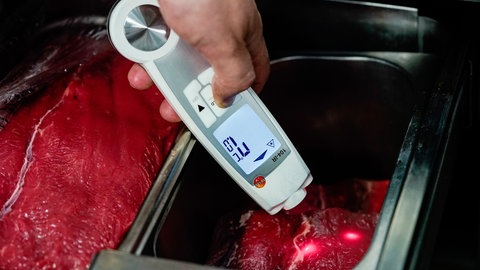 Ein Lebensmittelkontrolleur beim Landratsamt Rhein-Neckar-Kreis in der Abteilung Veterinäramt und Verbraucherschutz, hält in der Küche eines Restaurants ein Thermometer an Fleischstücke. 2024 mussten in BW über 950 Betriebe aufgrund gravierender hygienischer Mängel geschlossen werden.