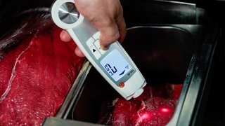 Ein Lebensmittelkontrolleur beim Landratsamt Rhein-Neckar-Kreis in der Abteilung Veterinäramt und Verbraucherschutz, hält in der Küche eines Restaurants ein Thermometer an Fleischstücke. 2024 mussten in BW über 950 Betriebe aufgrund gravierender hygienischer Mängel geschlossen werden.