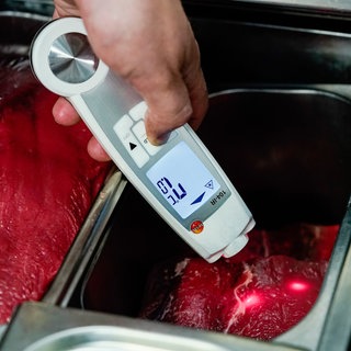 Ein Lebensmittelkontrolleur beim Landratsamt Rhein-Neckar-Kreis in der Abteilung Veterinäramt und Verbraucherschutz, hält in der Küche eines Restaurants ein Thermometer an Fleischstücke. 2024 mussten in BW über 950 Betriebe aufgrund gravierender hygienischer Mängel geschlossen werden.