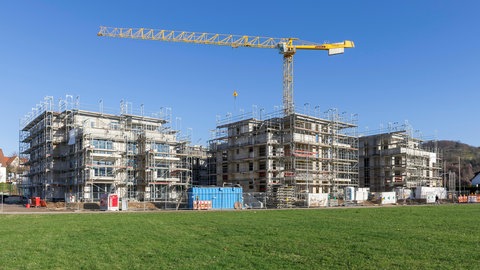 Symbolbild: Ein Kran steht in einem Neubaugebiet in Höfen bei Winnenden. Der Landesrechnungshof kritisiert die Ausgaben der Landesregierung von Baden-Württemberg für den Wohnungsbau.