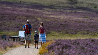 Eine Familie aus Baden-Württemberg geht in der Lüneburger Heide spazieren (Symbolbild).