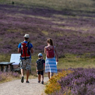 Eine Familie aus Baden-Württemberg geht in der Lüneburger Heide spazieren (Symbolbild).