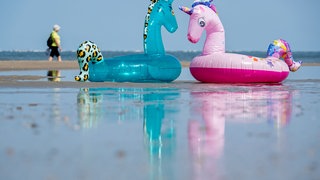 Aufblasbare Schwimmtiere liegen bei sonnigem Wetter in einem Priel am Nordstrand der Insel. (Symbolbild)