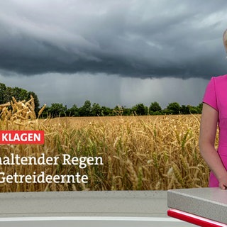 Nachrichtensprecherin Tatjana Geßler