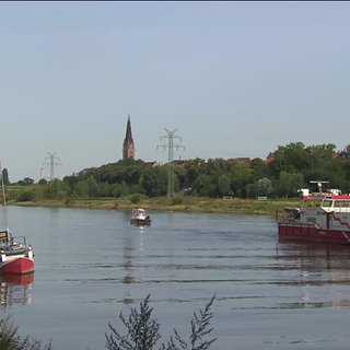 Übung der Wasserrettung der Feuerwehr MA