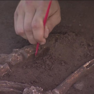 Archäologische Funde