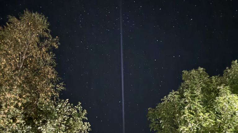 Über den Bäumen ist ein Lichtstreif am Himmel zu sehen.
