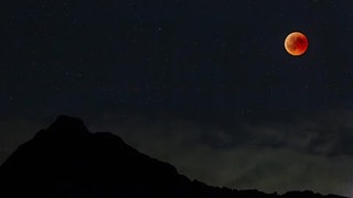 Mond als Blutmond bei Mondfinsternis am Nachthimmel