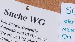 Ein Zettel mit der Aufschrift "Suche WG". Aufgrund des Wohnungsmangels sind viele Studierende auch noch zu Beginn des Wintersemesters auf der Suche nach einer WG oder Wohnung.