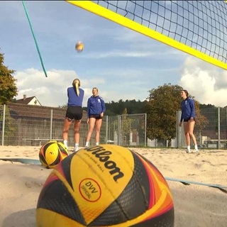 Die Blaubären-Volleyballmannschaft