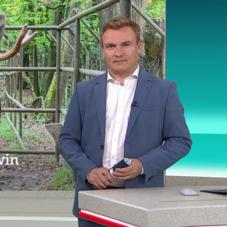 Nachrichtensprecher Sven Rex