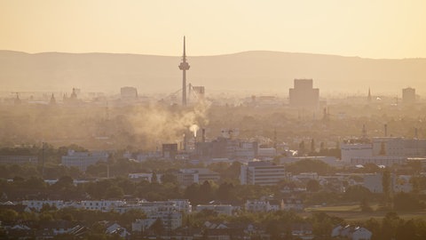 Blick auf Häuser in Mannheim - die Mietpreisbremse in BW soll in einigen Städten wegfallen