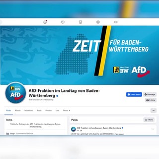 Eklat im Landtag um AfD-Foto