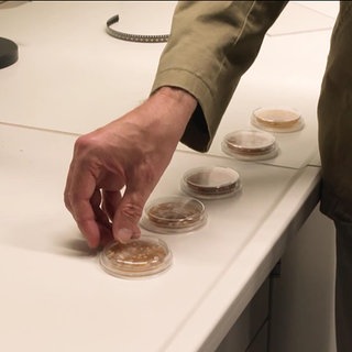 Bakterien auf öffentlichen Touchscreens