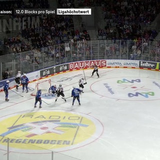 DEL: Mannheim-Nürnberg