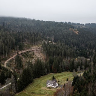 Ein Wohnhaus steht im Langenbachtal. Der Nationalpark Schwarzwald soll bald eine Erweiterung bekommen, das neue Gebiet gehört bislang der Waldgenossenschaft Murgschifferschaft.
