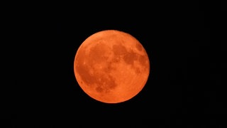 Der Blutmond ist am Himmel zu sehen. Die Mondfinsternis ist am 07.09.25 am Himmel zu sehen.