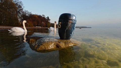 Eine sogenannte Zierurne steht auf einem Stein im Bodensee.