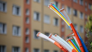 Aus dem Sockel eines Schaltschranks ragen Glasfaserkabel heraus. 