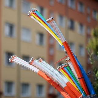 Aus dem Sockel eines Schaltschranks ragen Glasfaserkabel heraus. 