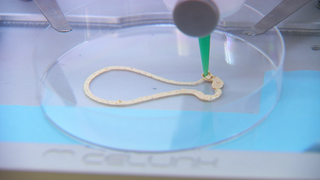 Der 3D-Drucker am Fraunhofer-Institut in Stuttgart druckt eine Gänsekeule für die Weihnachtsgans.