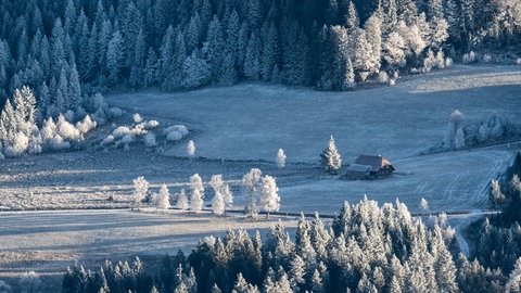 Eine von Schnee und Eis bedeckte Landschaft im Schwarzwald. In Baden-Württemberg wird es ein frostiger Jahresbeginn.