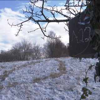Obstwiese in Radolfzell