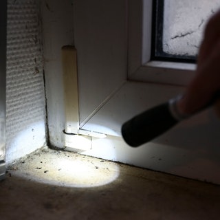 Der Lichtkegel einer Taschenlampe beleuchtet eine Fensterbank, auf der Mäusekot liegt.