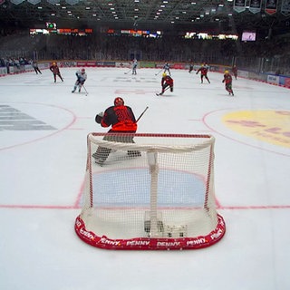 Spieler auf dem Feld