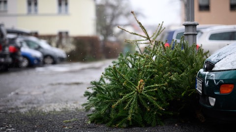 Tannenbäume liegen auf der Straße an einer Laterne. Einige Städte und Gemeinden organisieren einen kostenfreien Abholservice für Weihnachtsbäume.