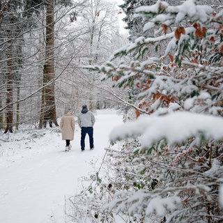 Zwei Spaziergänger gehen in einer schneebedeckten Waldlandschaft über einen Waldweg.