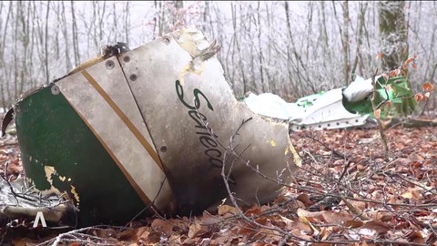 Das Wrack eines weiß-grünen Sportflugzeugs in einem Waldgebiet bei Geisingen im Kreis Tuttlingen.  Ein Jahr nach dem tödlichen Flugzeugabsturz bei Geisingen liefert ein Bericht neue Erkenntnisse zum Unfall: War das Wetter ursächlich?