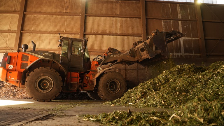 Ein orangener Radlader verteilt eine LKW-Ladung voller Weihnachtsbäume aus dem Landkreis Heidenheim.