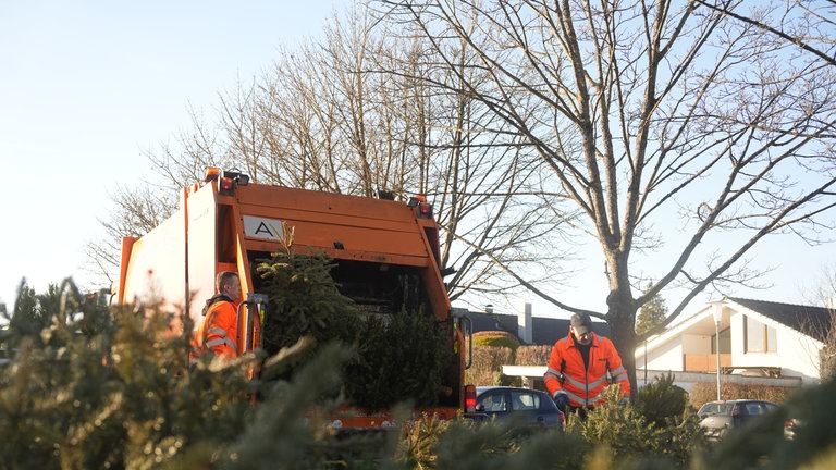 Zwei Mitarbeiter laden Weihnachtsbäume auf ein Pressfahrzeug.