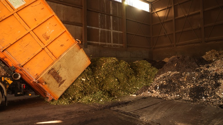 Aus einem Container werden 40 Kubikmeter geschrederte Weihnachtsbäume abgekippt.