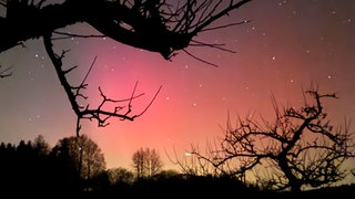 Polarlichter am Dienstagabend in Waldburg im Kreis Ravensburg