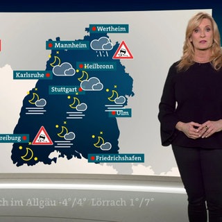 Wetterreporterin Claudia Kleinert