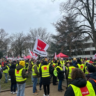 Angestellte aus dem öffentlichen Dienst der Länder haben am Dienstag in Heidelberg gestreikt. Die Gewerkschafz ver.di und die Gewerkschaft Erziehung und Wissenschaft hatten dazu aufgerufen.